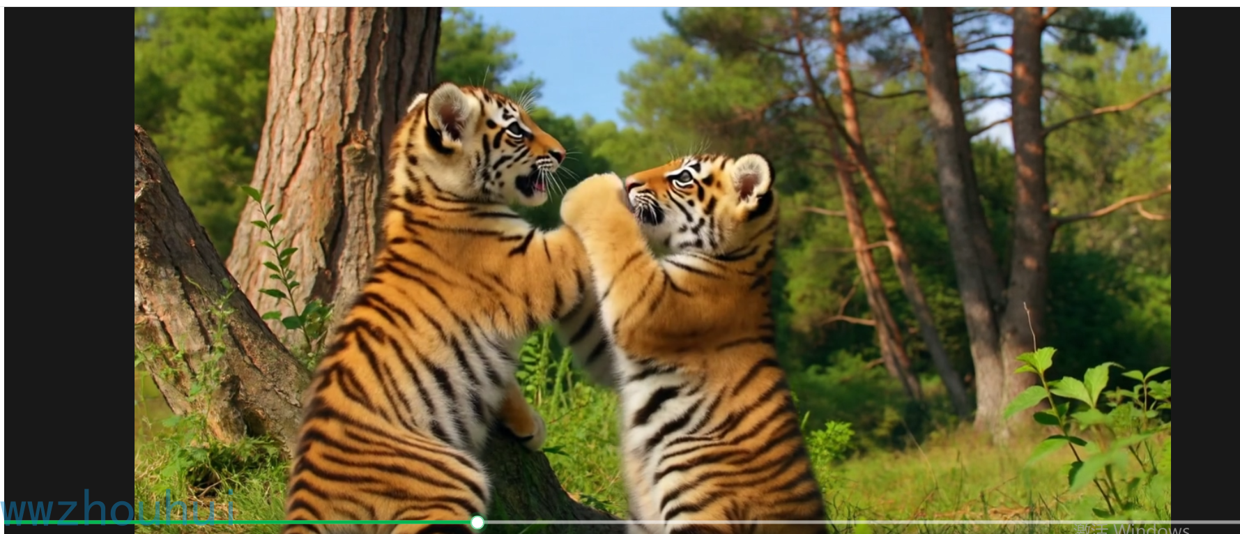 image-20250615170034340